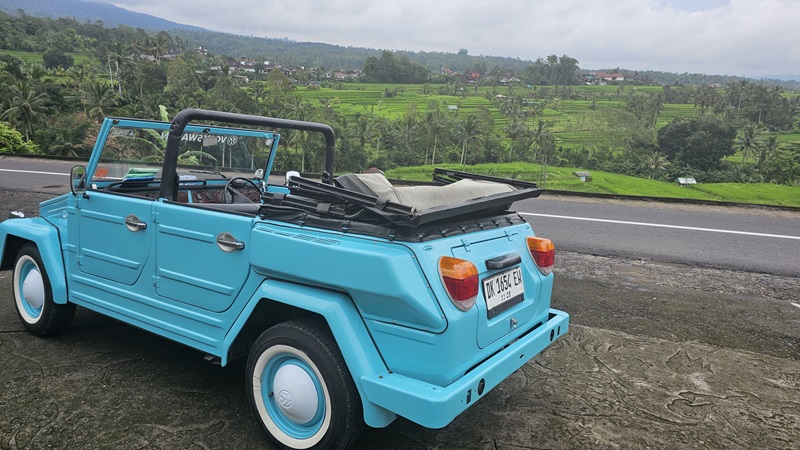 Ubud | VW oldtimer | Zipline 